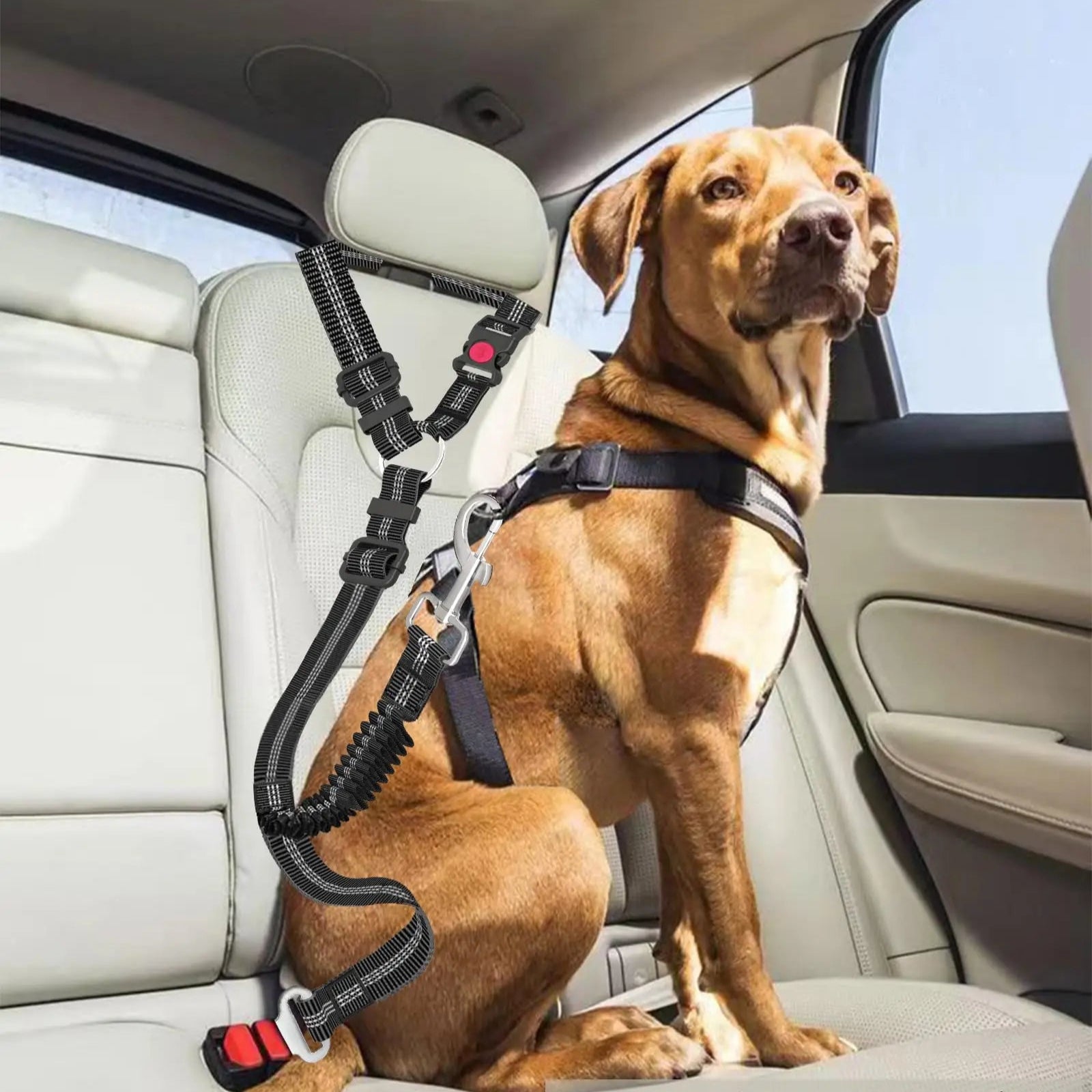 Adjustable And Heavy Duty Dog Car Seat Belt - Striped Nylon Large Dog Traction Rope for Car Rides - high-quality product