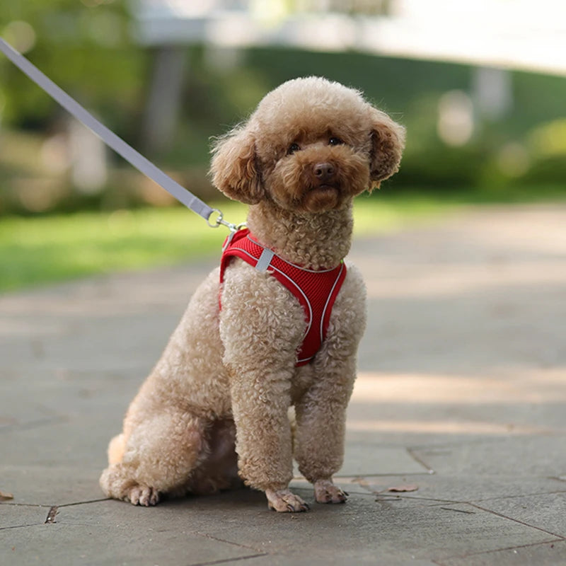 Dog Harness Leash Set for Small Dogs Adjustable Puppy Cat Harness Vest French Bulldog Chihuahua Pug Outdoor Walking Lead Leash - high-quality product