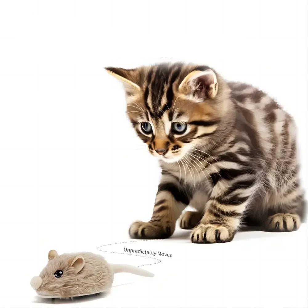 Rechargeable Motion Mouse Cat Toy for Kitten Mouse Sound Moving Mouse Cat Toys Interactive Cat Toy Sound Mouse Cat toy - high-quality product